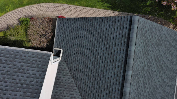 Fast & Reliable Emergency Roof Repairs in Brazoria, TX